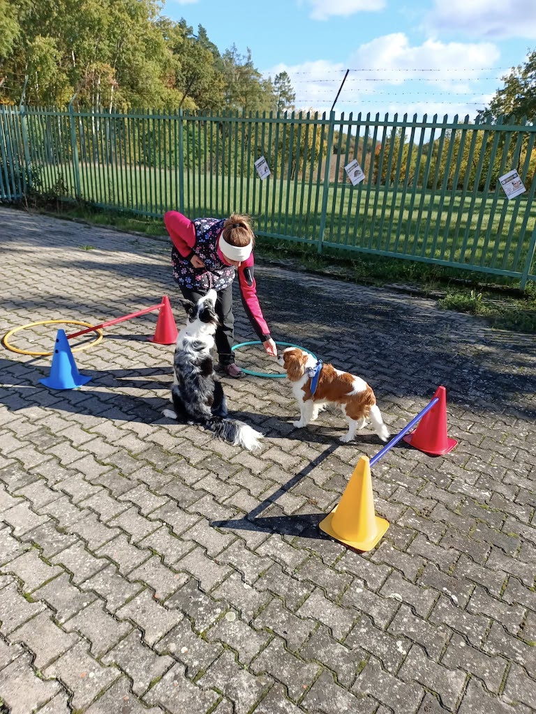 565340729_842053891908926_5436309653718028208_n