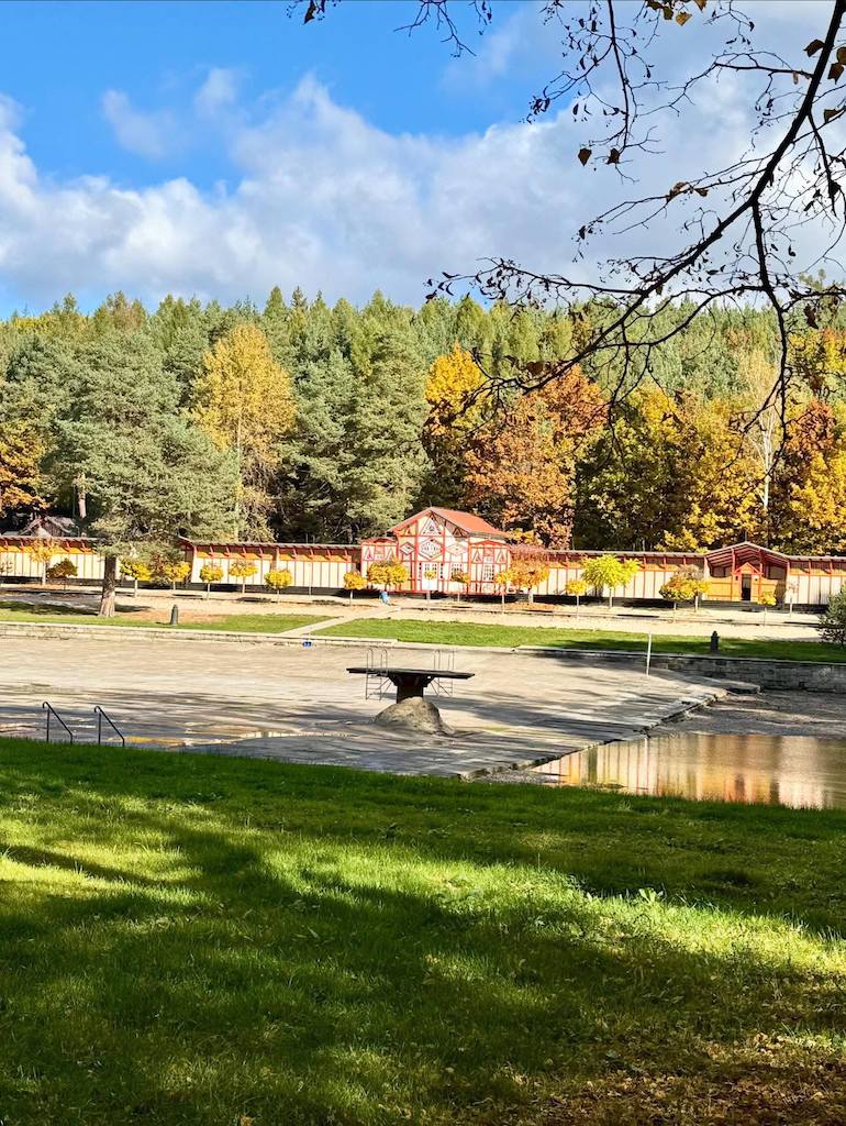 566224120_842367128544269_8648786823184620495_n